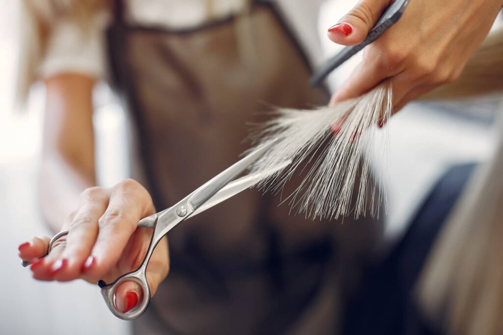 Foto delle mani esperte di una parrucchiera che taglia una ciocca di capelli bianchi. La cliente voleva sapere quando tagliare i capelli per farli crescere più lentamente.